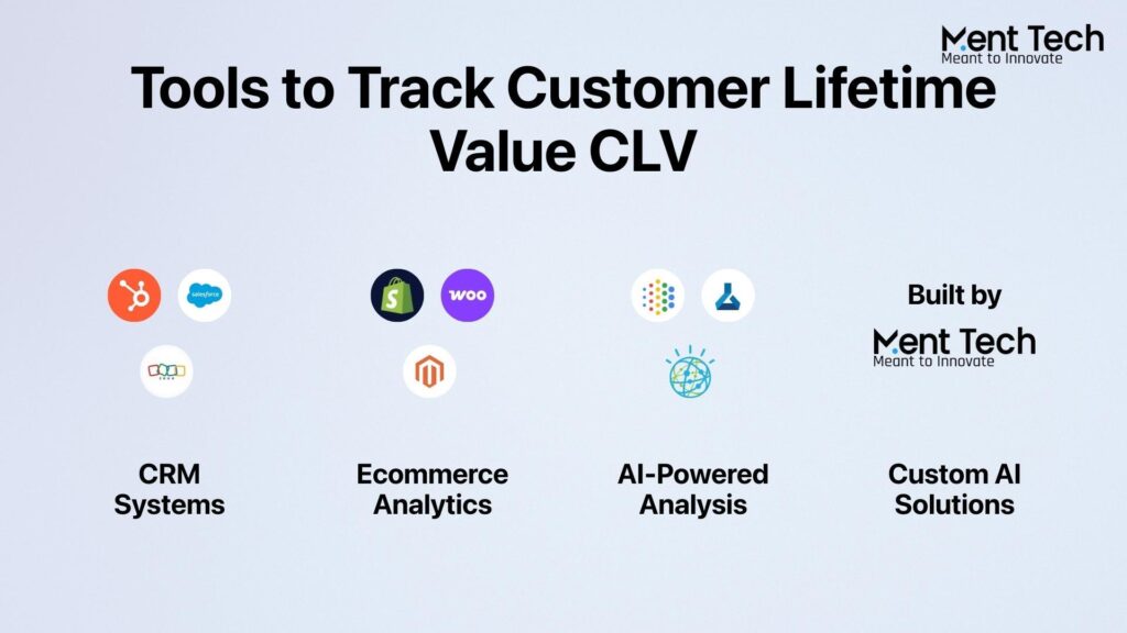 Tools for Tracking Customer Lifetime Value