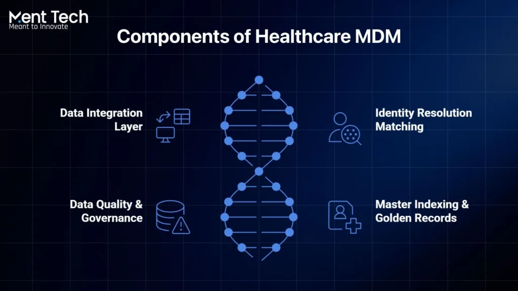 Components of Healthcare Master Data Management