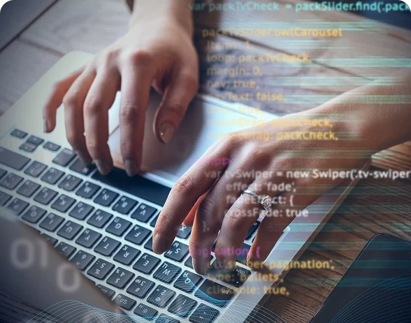 NFT Minting Website Development and Software Solutions