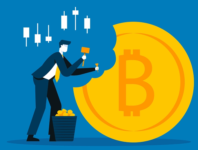 On-Chain Dividend Distribution