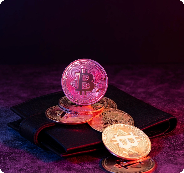 The Rise of Bitcoin Ordinals Wallets in the Digital Asset World