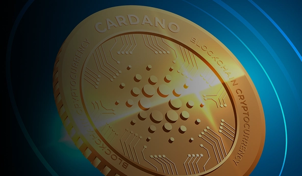 Let’s Build Your Cardano Solution
