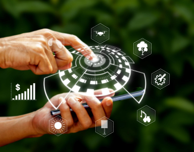 Lifecycle Automation